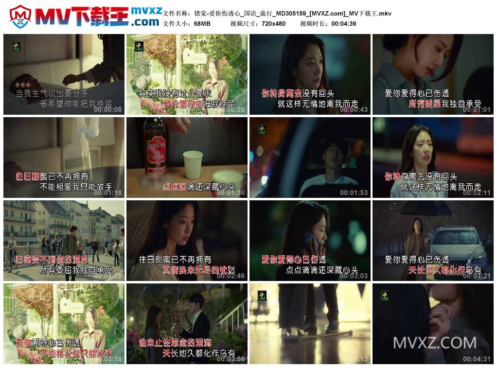 错觉-爱你伤透心_国语_流行_MD305159